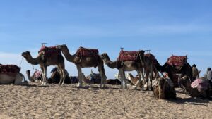 Marokko tur<br>20-26 nov 2026<br>5 dagers kjøring